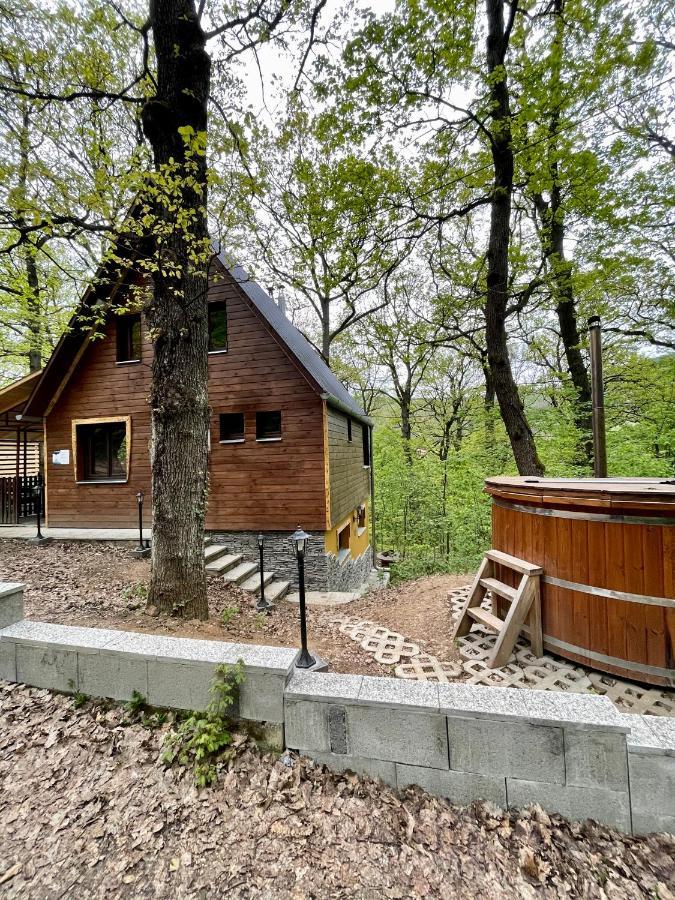 Toelgyes Menedek Apartment Noszvaj Bagian luar foto